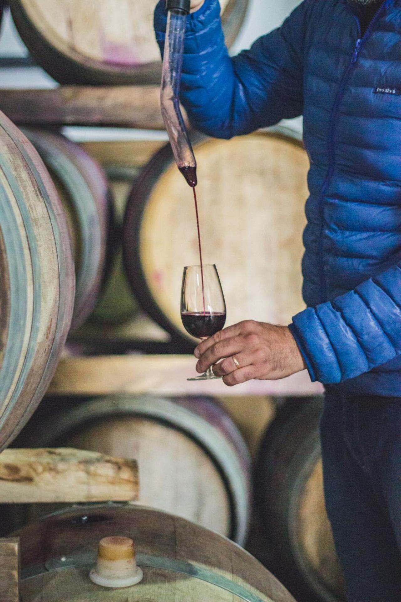 Postales Boutique Winery Hotel - Valle De Uco Colonia Las Rosas Екстериор снимка