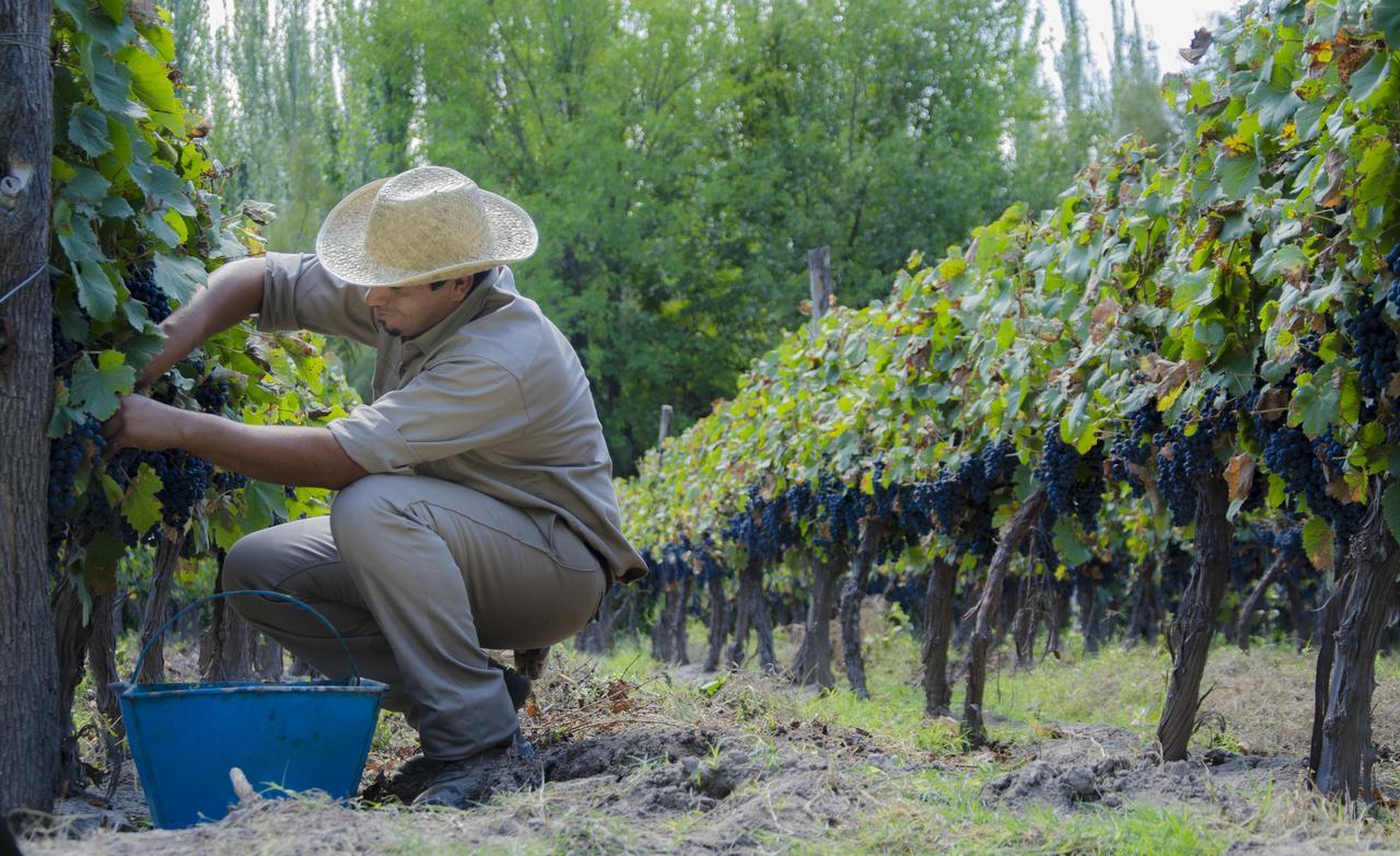 Postales Boutique Winery Hotel - Valle De Uco Colonia Las Rosas Екстериор снимка