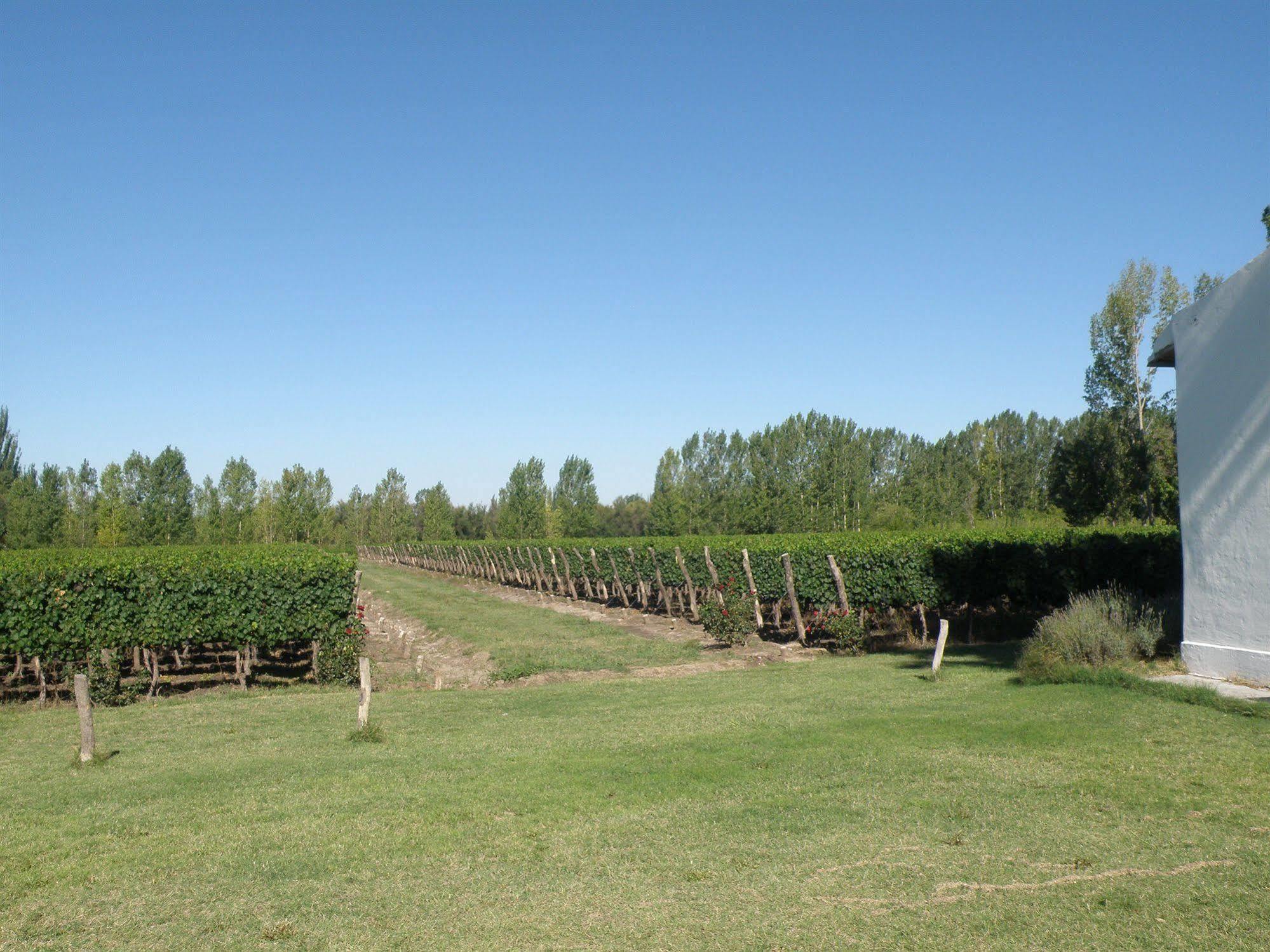 Postales Boutique Winery Hotel - Valle De Uco Colonia Las Rosas Екстериор снимка