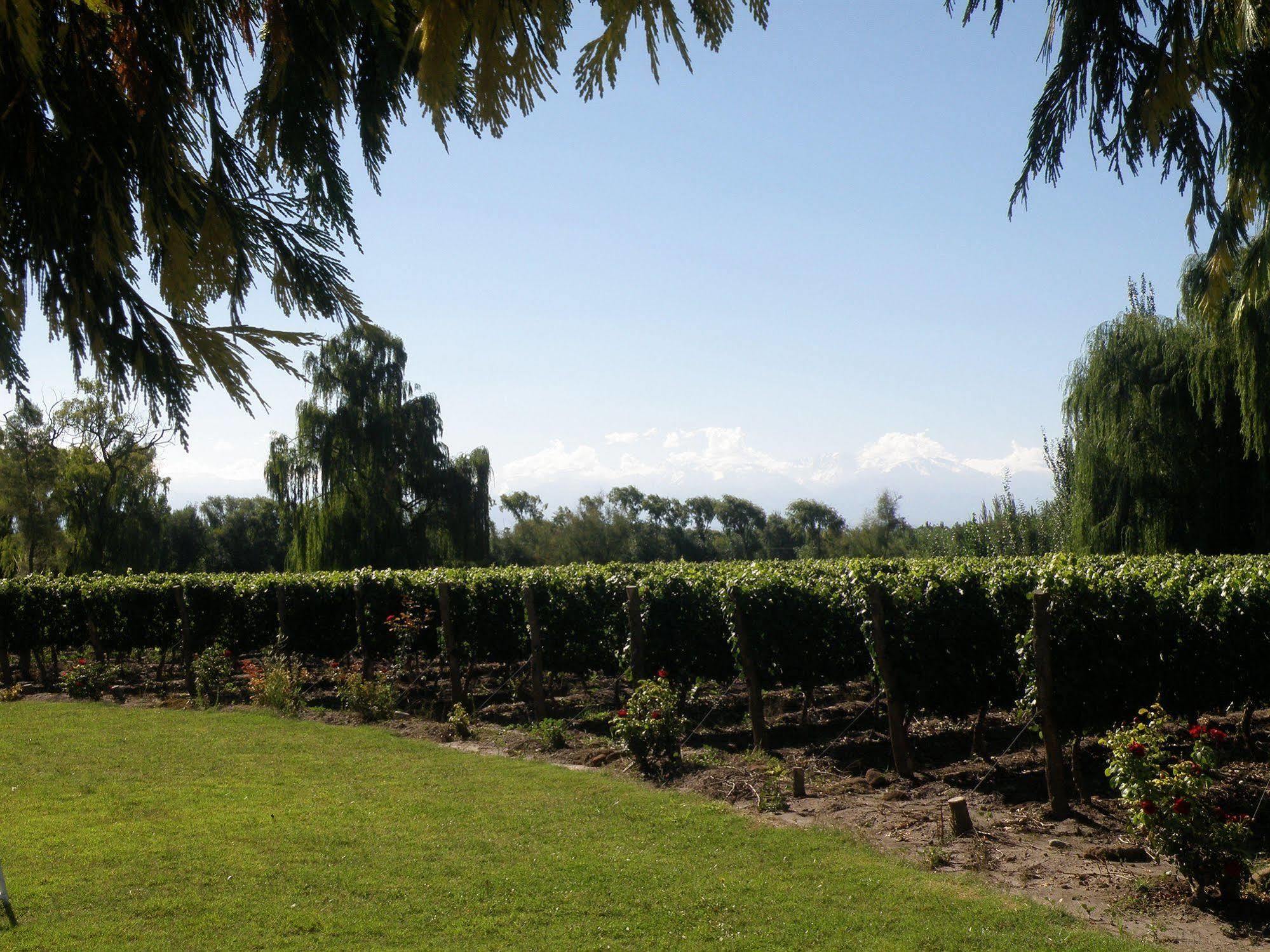Postales Boutique Winery Hotel - Valle De Uco Colonia Las Rosas Екстериор снимка
