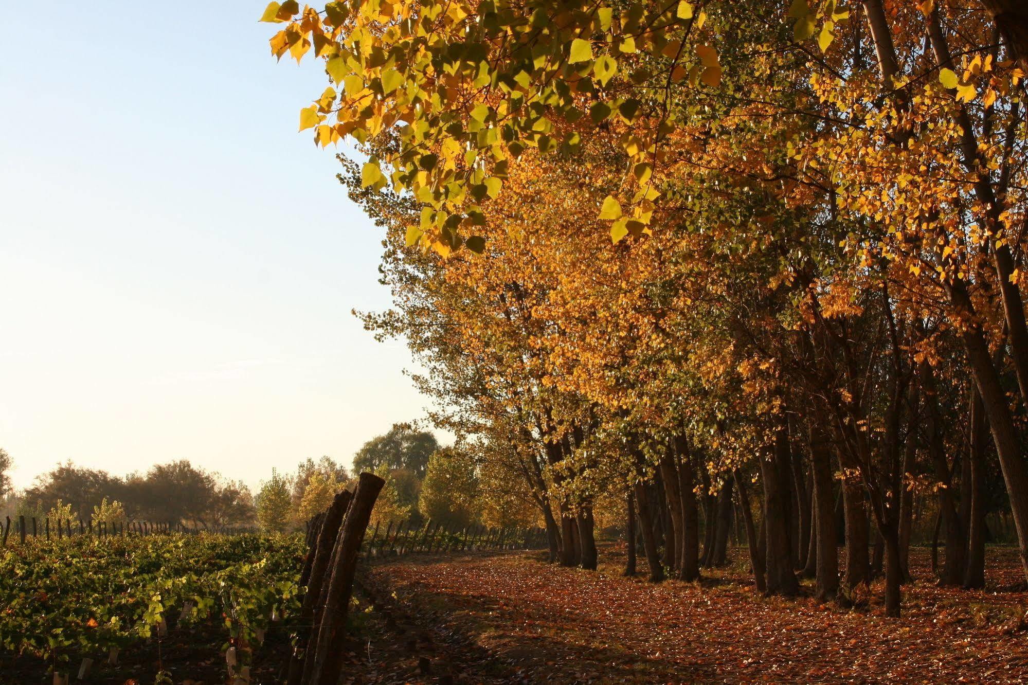 Postales Boutique Winery Hotel - Valle De Uco Colonia Las Rosas Екстериор снимка