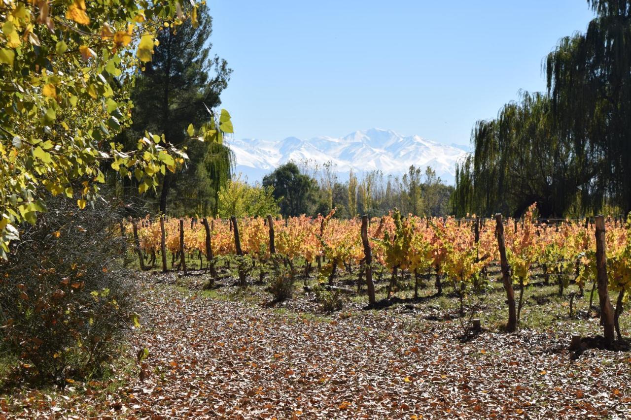 Postales Boutique Winery Hotel - Valle De Uco Colonia Las Rosas Екстериор снимка