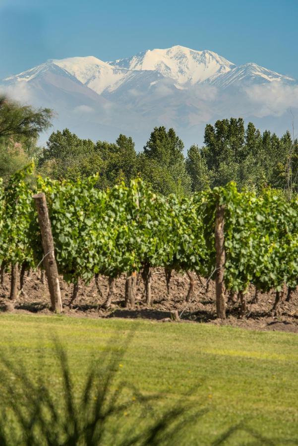 Postales Boutique Winery Hotel - Valle De Uco Colonia Las Rosas Екстериор снимка