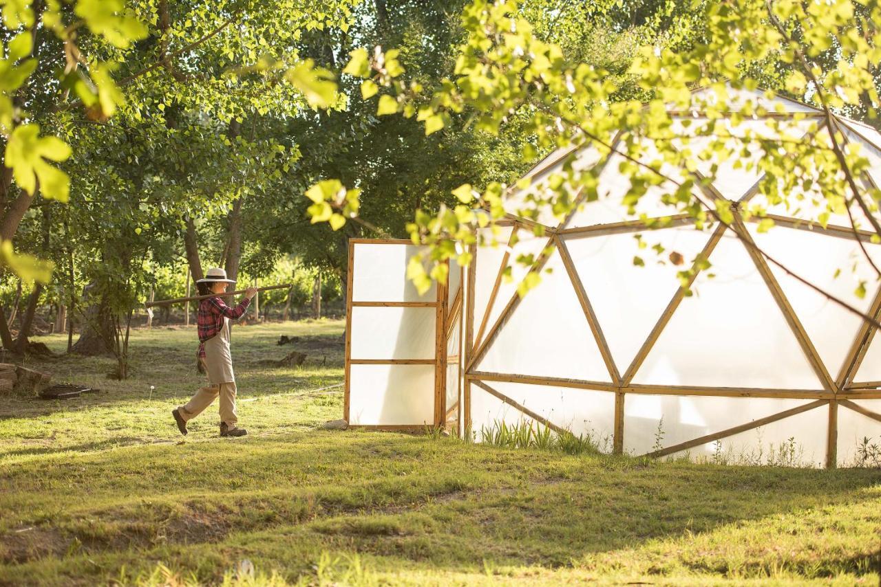 Postales Boutique Winery Hotel - Valle De Uco Colonia Las Rosas Екстериор снимка